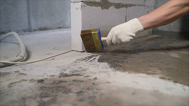 SJ Waterproofing Pros Waterproofing coverage map for Bethel, MN and surrounding area